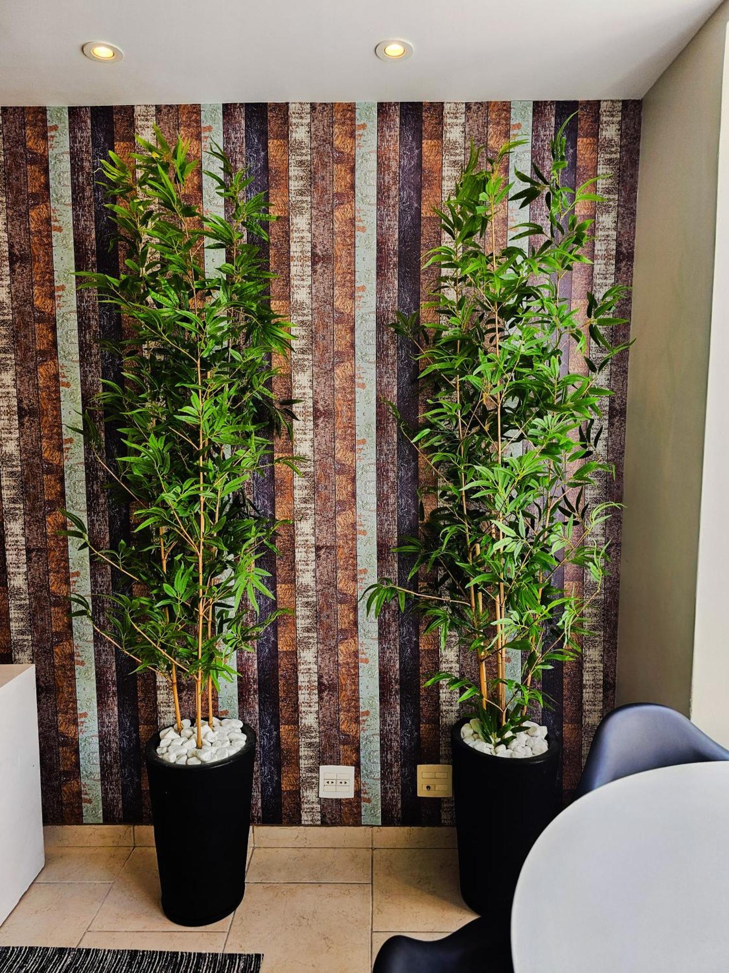 Bulhoes De Carvalho 591-601 里约热内卢 外观 照片